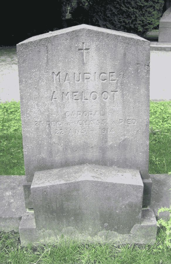 Ameloot Maurice
(Definitief grafzerk)
